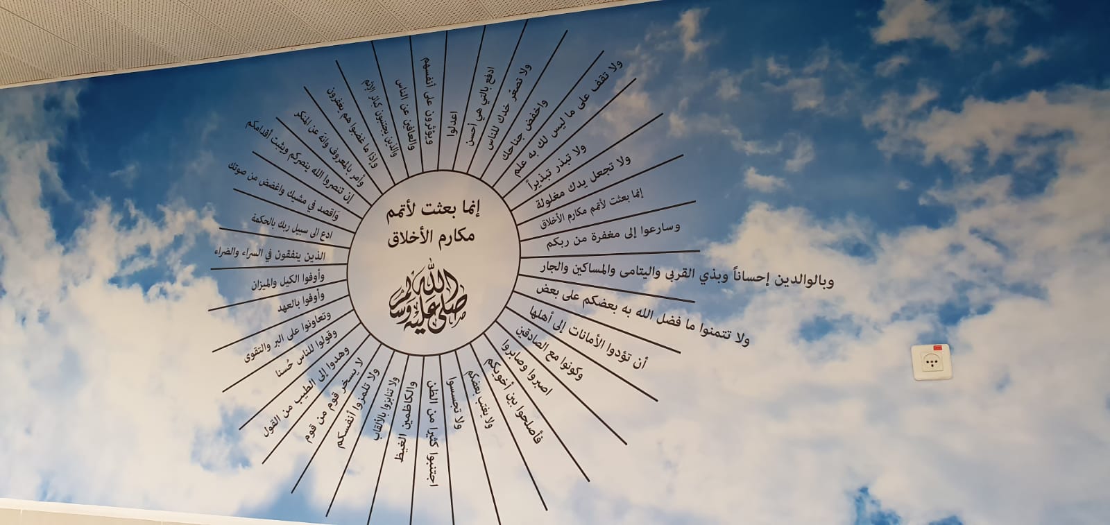 WhatsApp Image 2022-02-05 at 1.15.19 PM (1).jpeg